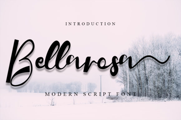 Bellarosa: The Perfect Script Font for Your Brand