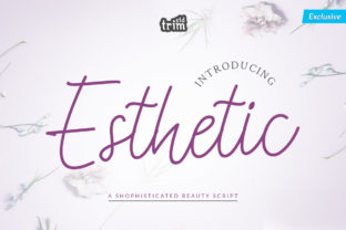 Esthetic: A Romantic Script Font for Digital Design