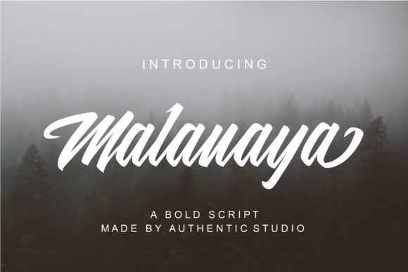 Malanaya: A Bold Script Font for Editorial Design