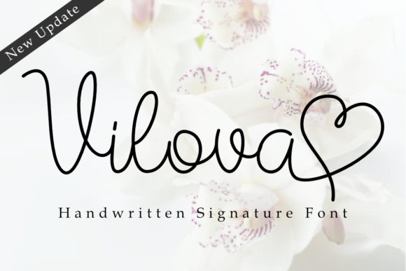 Vilova: A Gorgeous Script Font for Business Branding