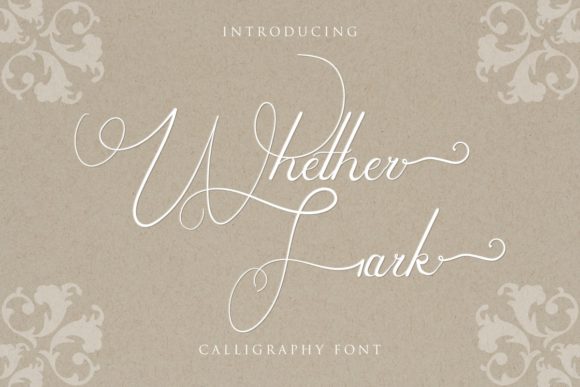 Whether Fark: A Premium Script Font for Web Design